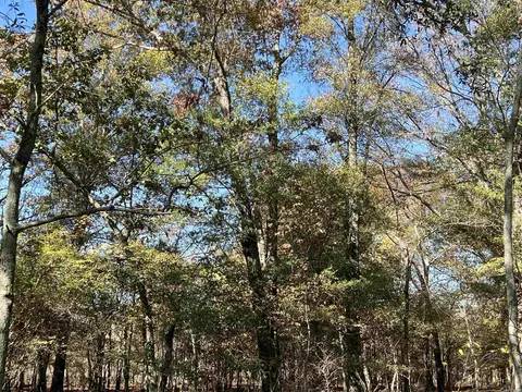 000 Casey Rd, Hunter, AR 72036 photo 34