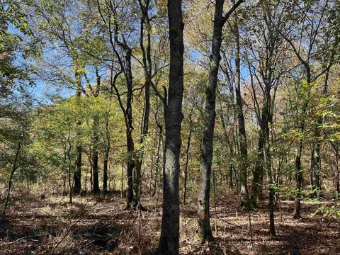 000 Casey Rd, Hunter, AR 72036 photo 39