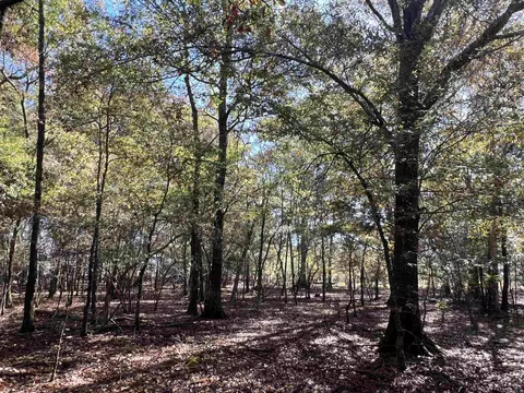 000 Casey Rd, Hunter, AR 72036 photo 26