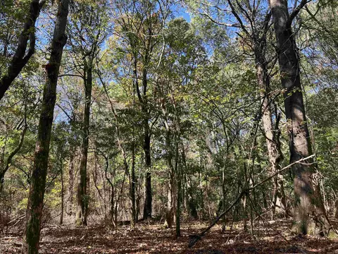000 Casey Rd, Hunter, AR 72036 photo 40