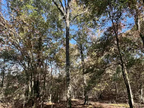 000 Casey Rd, Hunter, AR 72036 photo 27