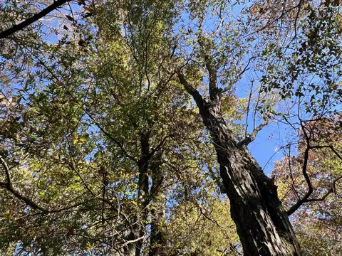 000 Casey Rd, Hunter, AR 72036 photo 28
