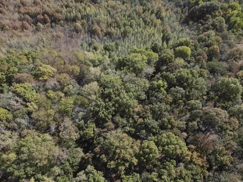 000 Casey Rd, Hunter, AR 72036 photo 11