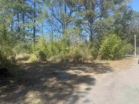 7440 Brinkley Rd, Pine Bluff, AR 71603 photo 5