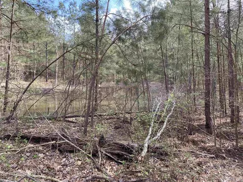 7440 Brinkley Rd, Pine Bluff, AR 71603 photo 9