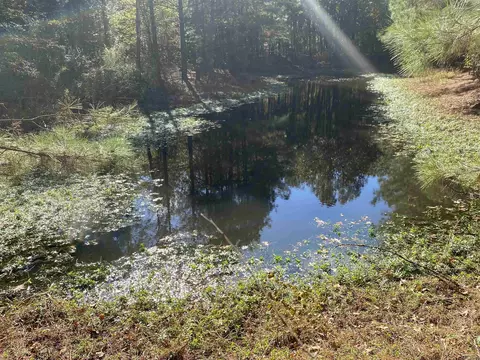 7440 Brinkley Rd, Pine Bluff, AR 71603 photo 14