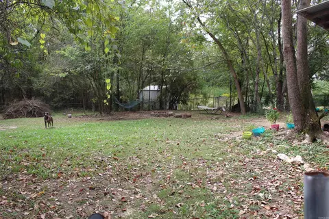 137 Abernathy St, Mount Ida, AR 71957 photo 13