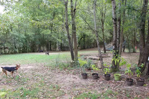 137 Abernathy St, Mount Ida, AR 71957 photo 12