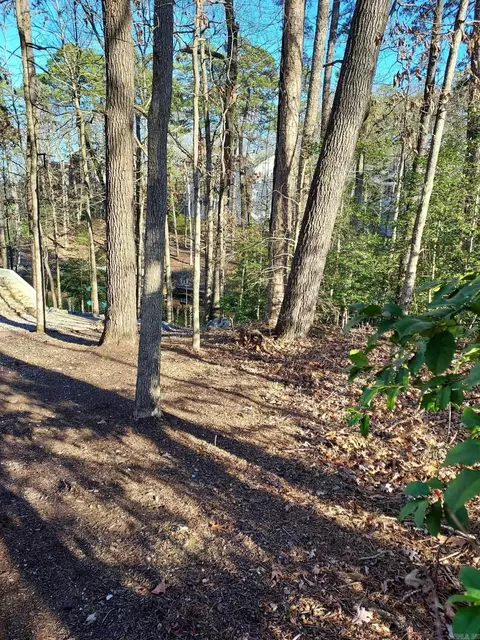 3 Zapato Cir, Hot Springs Village, AR 71909