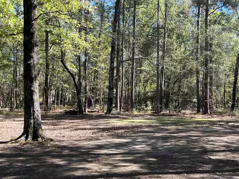 1301 W Pleasant Dr, Pine Bluff, AR 71603 photo 6