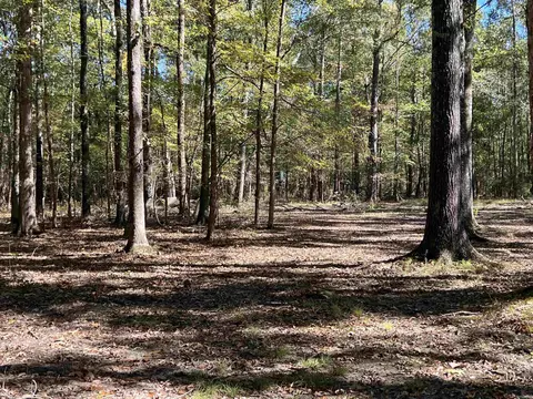 1301 W Pleasant Dr, Pine Bluff, AR 71603 photo 4