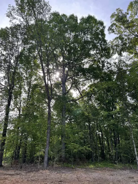 310 Abrielle Ln, Benton, AR 72019 photo 2