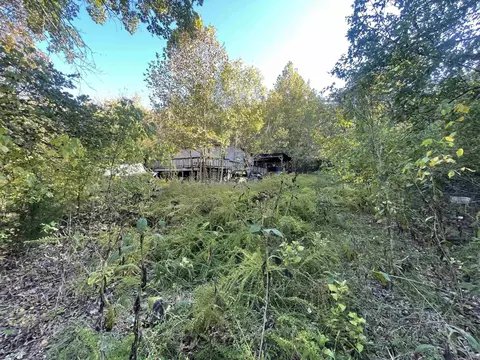 87 N Brook Pl, Gamaliel, AR 72537 photo 9