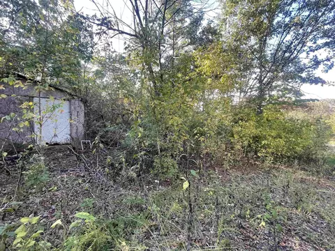 87 N Brook Pl, Gamaliel, AR 72537 photo 5