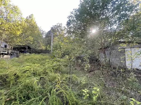 87 N Brook Pl, Gamaliel, AR 72537 photo 8