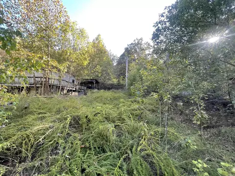 87 N Brook Pl, Gamaliel, AR 72537 photo 7