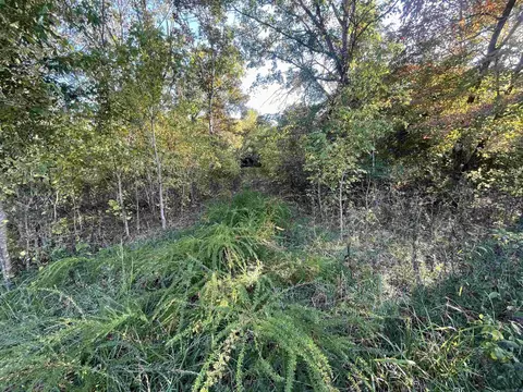 87 N Brook Pl, Gamaliel, AR 72537 photo 1