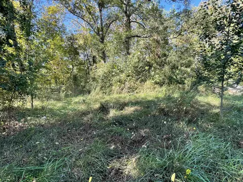 tbd Nix Ridge Rd, Ash Flat, AR 72513 photo 6