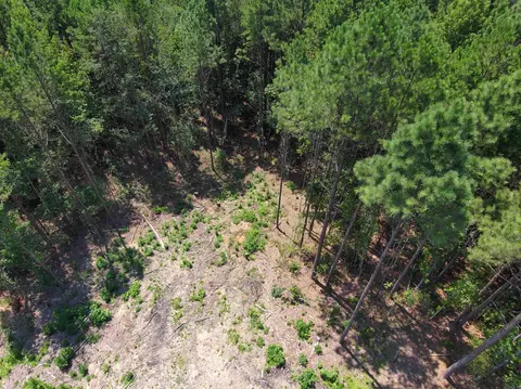 8946 Elm St, Benton, AR 72015 photo 3