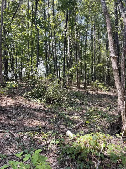 8946 Elm St, Benton, AR 72015 photo 11