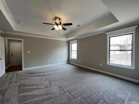 441 Reuben Dr, Alexander, AR 72002 photo 20