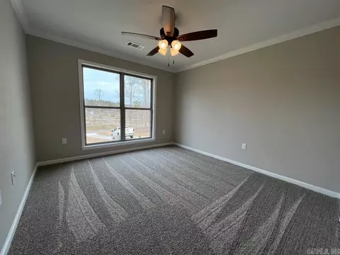 441 Reuben Dr, Alexander, AR 72002 photo 29
