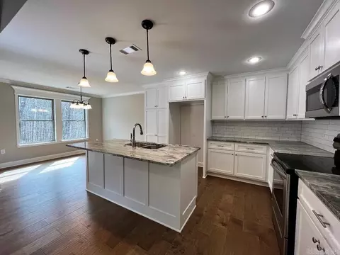 441 Reuben Dr, Alexander, AR 72002 photo 14