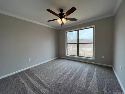 441 Reuben Dr, Alexander, AR 72002 photo 33