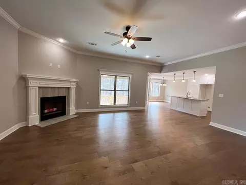 441 Reuben Dr, Alexander, AR 72002 photo 8