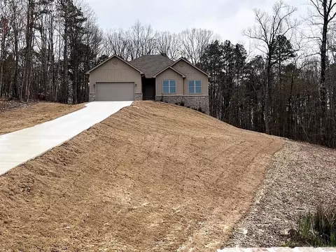 441 Reuben Dr, Alexander, AR 72002 photo 4