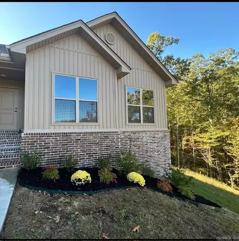 441 Reuben Dr, Alexander, AR 72002 photo 6