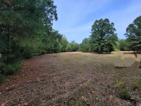 10331 Lee Spgs, Pine Bluff, AR 71603 photo 37
