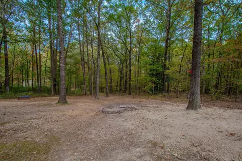 5814 Oak Meadows Rd, Alexander, AR 72002 photo 44