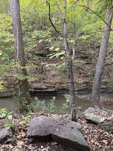 3495 Hwy 16, Clinton, AR 72031 photo 3
