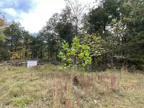 175 Hebron Rd, Hardy, AR 72542 photo 6
