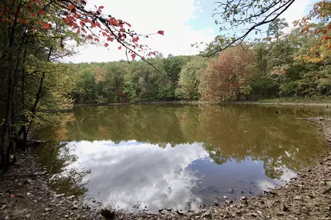 719 Eickleberry Rd, Paris, AR 72855 photo 8