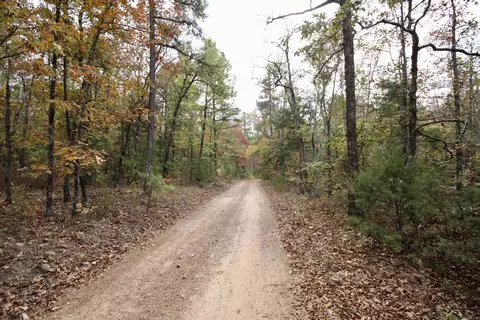 719 Eickleberry Rd, Paris, AR 72855 photo 24