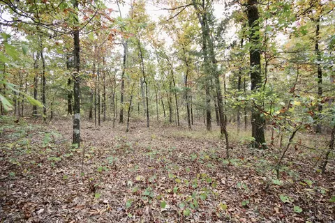 719 Eickleberry Rd, Paris, AR 72855 photo 16