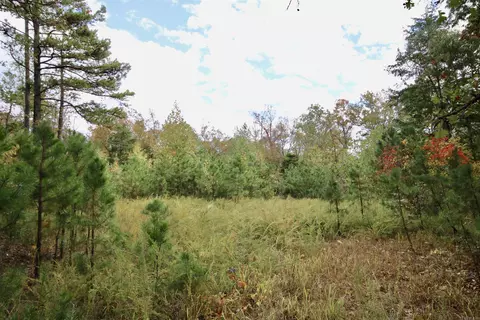 719 Eickleberry Rd, Paris, AR 72855 photo 7