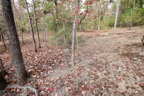 719 Eickleberry Rd, Paris, AR 72855 photo 34