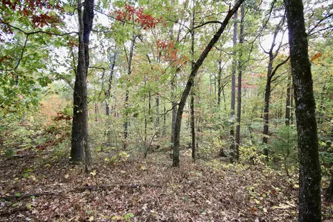 719 Eickleberry Rd, Paris, AR 72855 photo 28