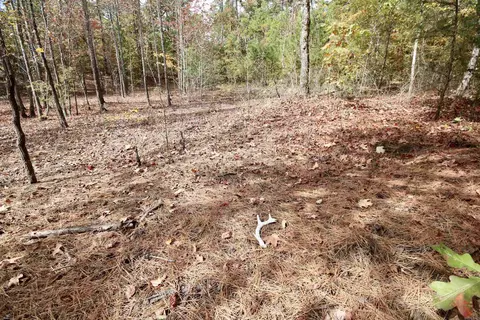 719 Eickleberry Rd, Paris, AR 72855 photo 35