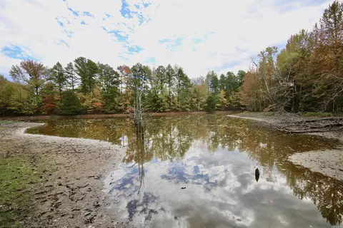 719 Eickleberry Rd, Paris, AR 72855 photo 30