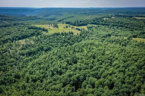 477 Half Moon Rd, Clinton, AR 72031 photo 40