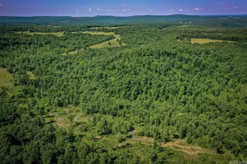 477 Half Moon Rd, Clinton, AR 72031 photo 38