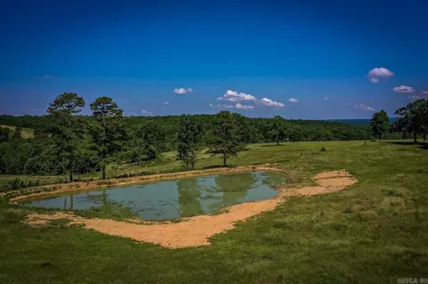 477 Half Moon Rd, Clinton, AR 72031 photo 29