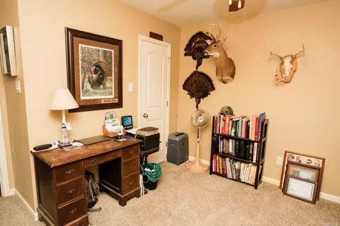 8405 Frontier Cv, Bauxite, AR 72011 photo 27