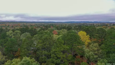 204 Circle Dr, Mount Ida, AR 71957 photo 33