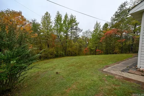 204 Circle Dr, Mount Ida, AR 71957 photo 5