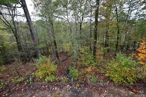 204 Circle Dr, Mount Ida, AR 71957 photo 9